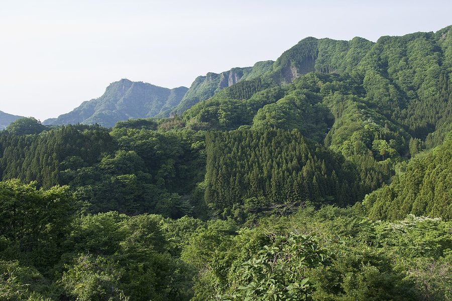 つつじが丘から望む奥久慈男体山