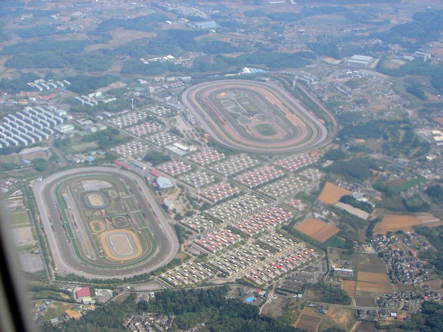日本中央競馬会（JRA）美浦トレーニングセンターのコース