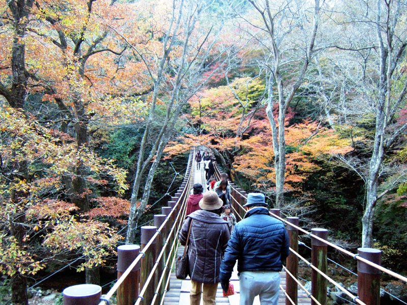 汐見滝吊り橋