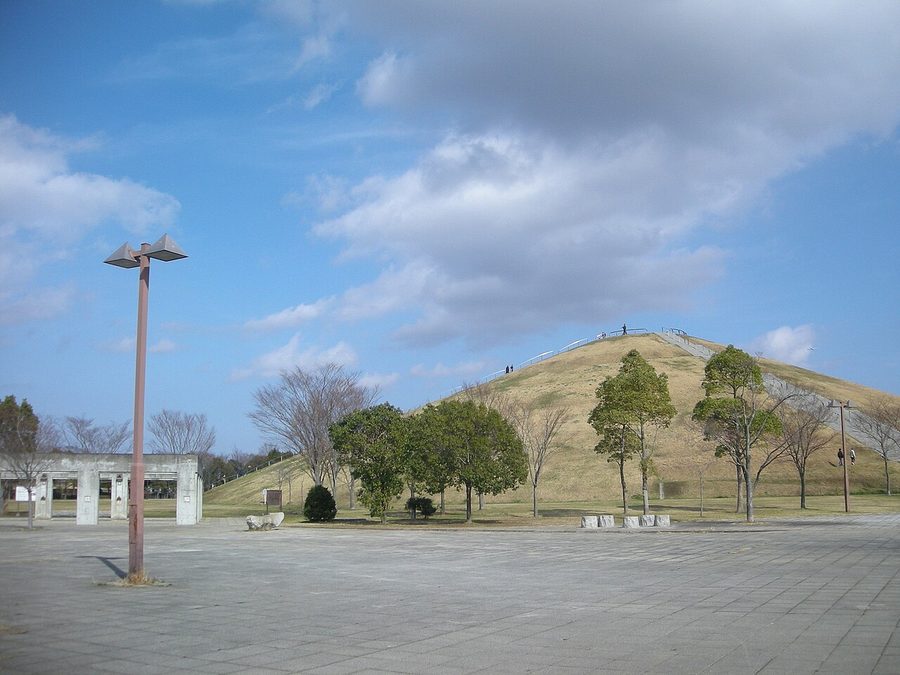龍ヶ岡公園内の「たつのこ山」