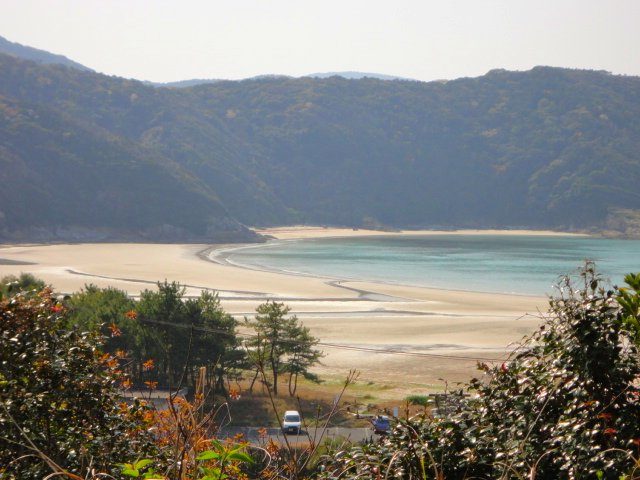 蛤浜