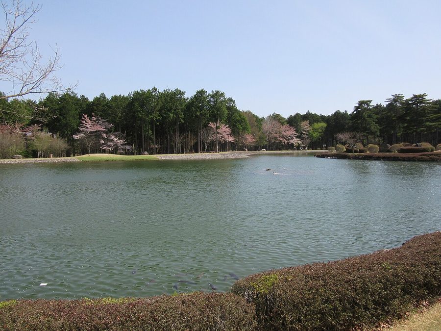 大芝湖