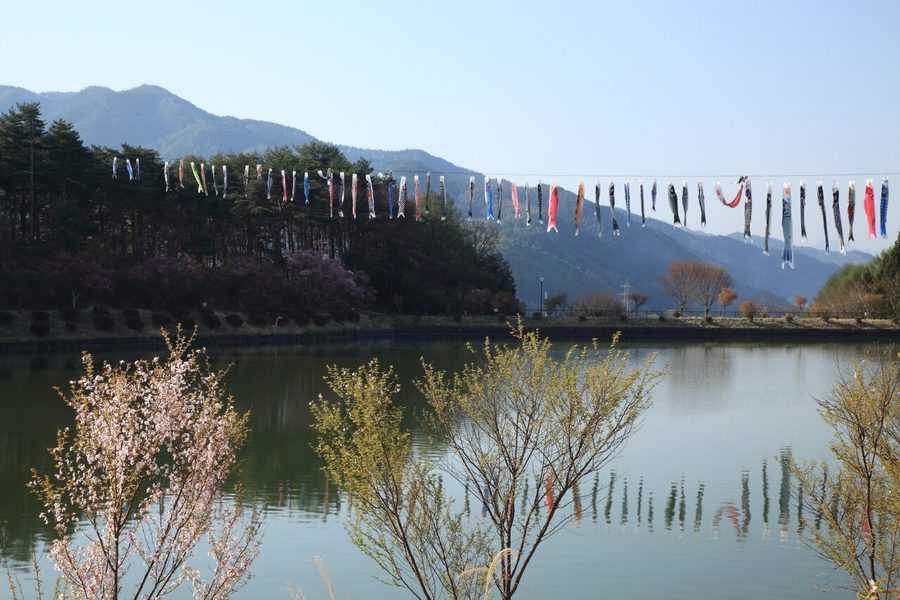 荒神山公園の池