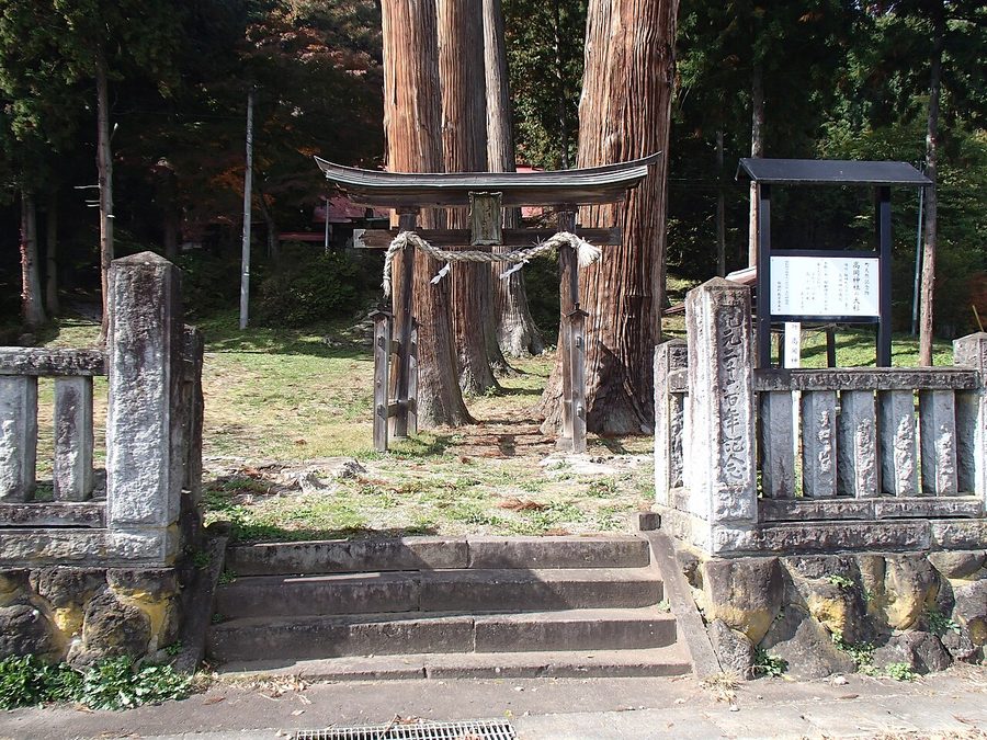 高岡神社の大杉