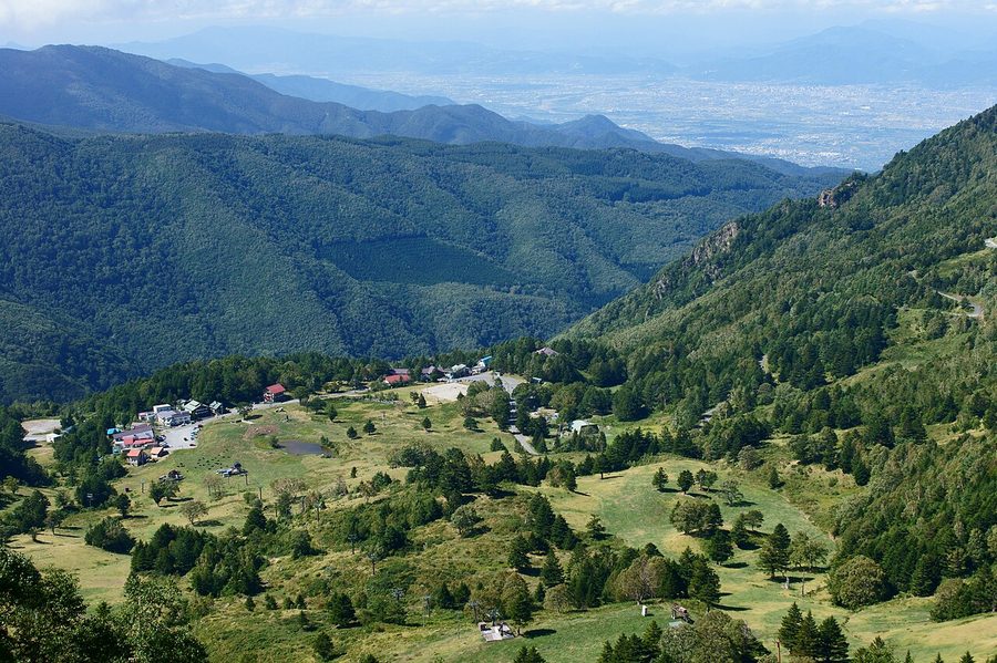 山田牧場の高原