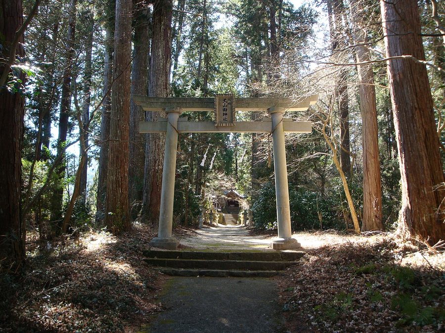 大山田神社の参道と鳥居