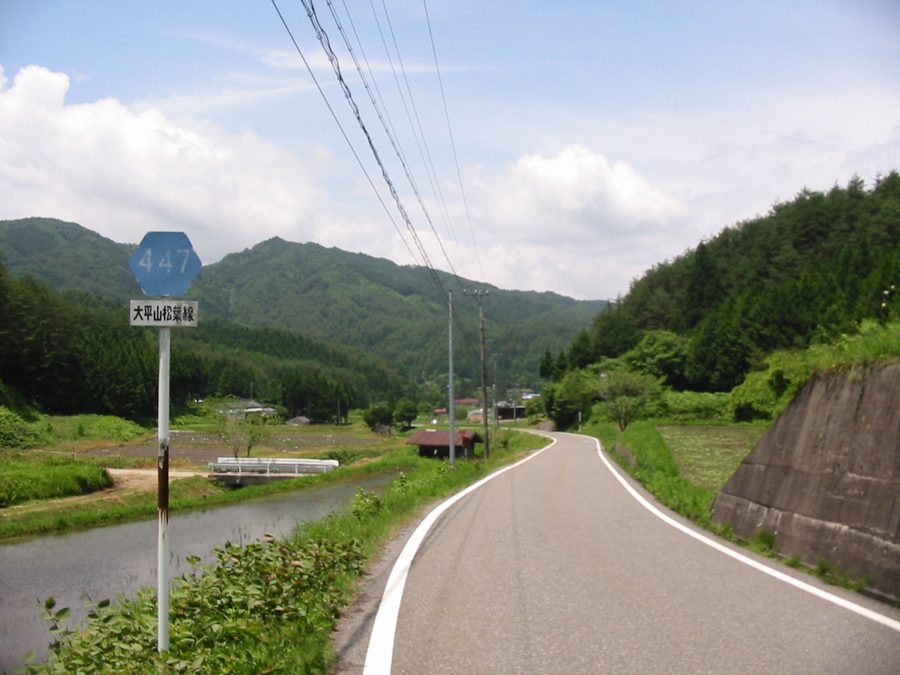村内を通る長野県道447号大平山松葉線沿いの風景