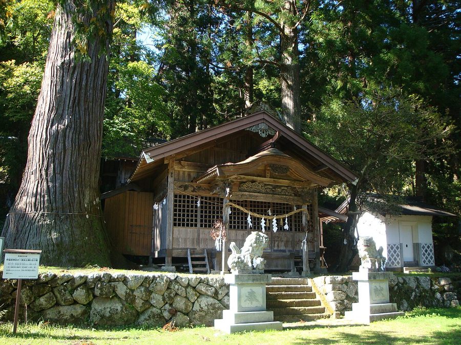 早稲田神社の拝殿と神木