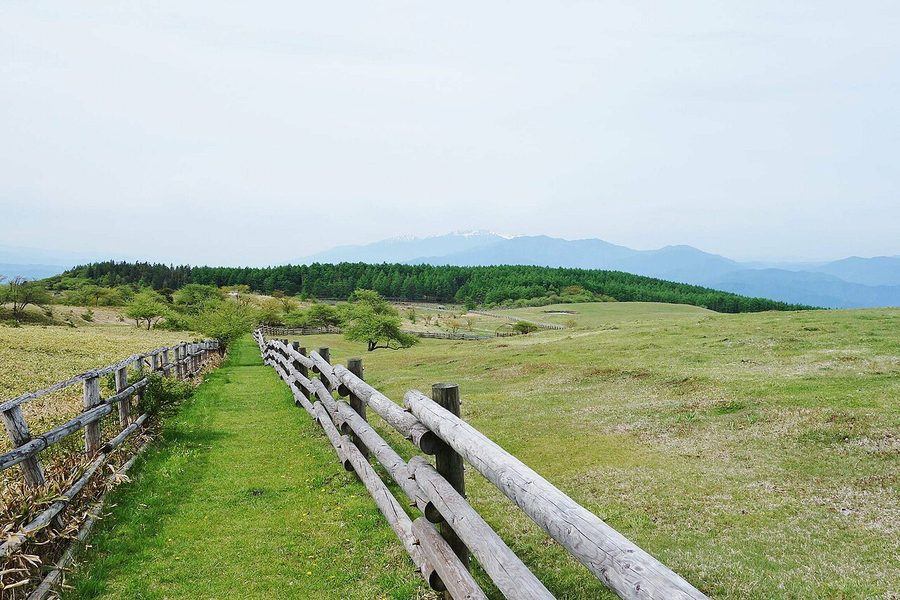 高ボッチ高原