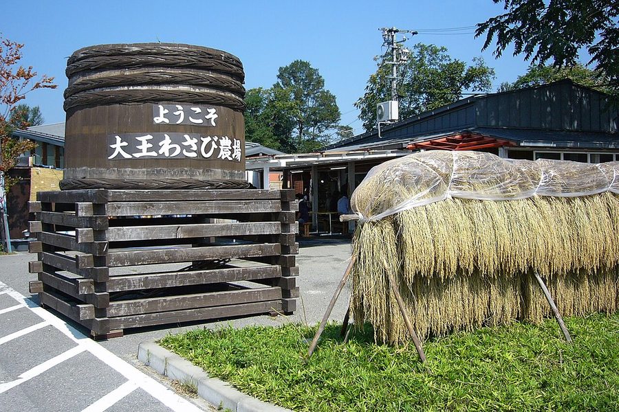 大王わさび農場の入口看板
