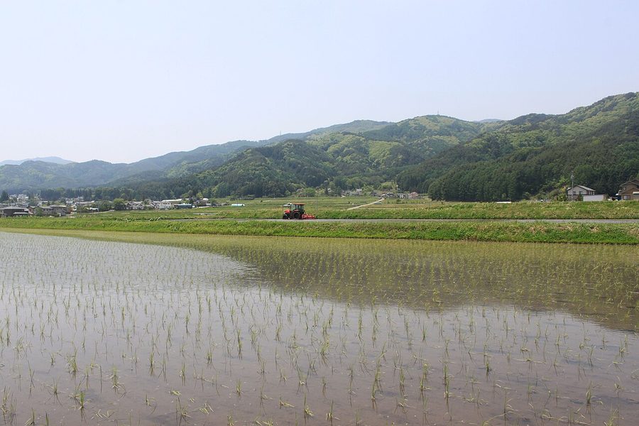 山形村の田園風景