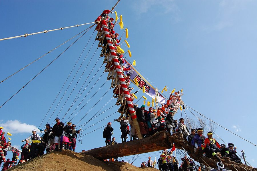 諏訪大社上社御柱祭の山出し、木落とし
