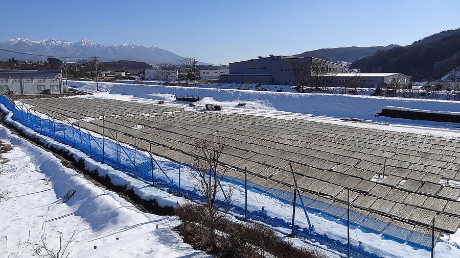 八ヶ岳を望む雪の畑に並べて天日干しされた天然寒天