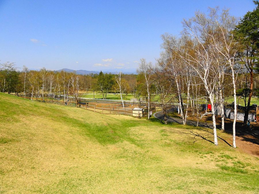 原村自然文化園