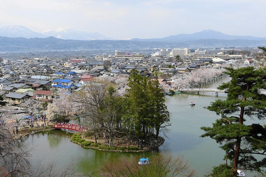臥竜公園の桜と池