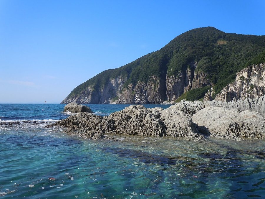 泊の海岸