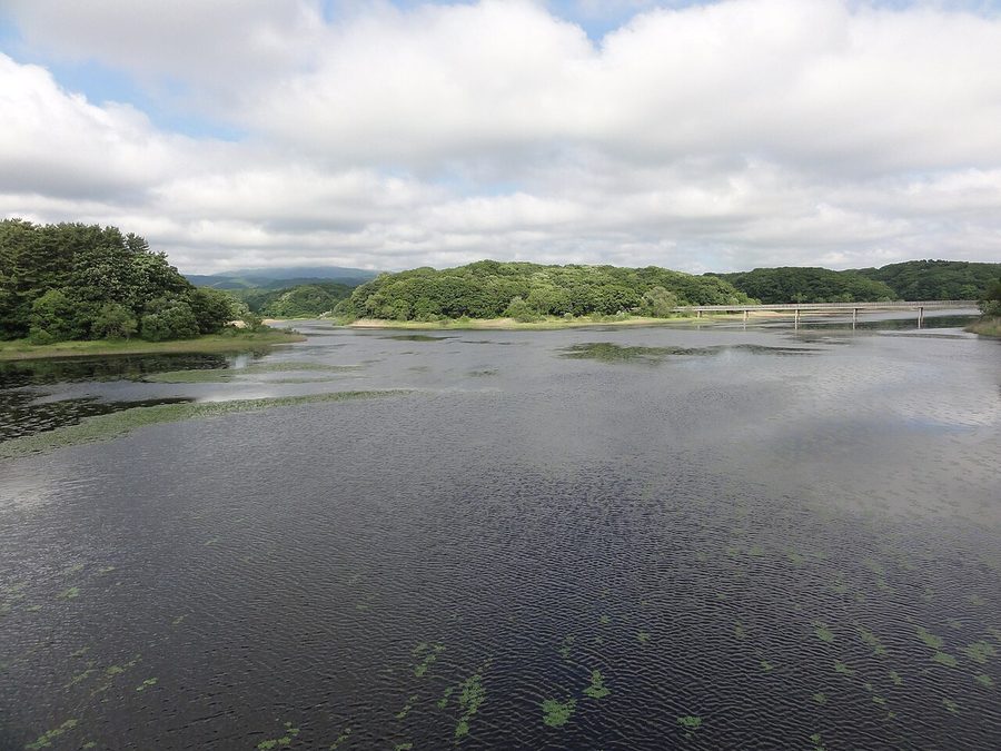 中泊町大沢内地区の水辺