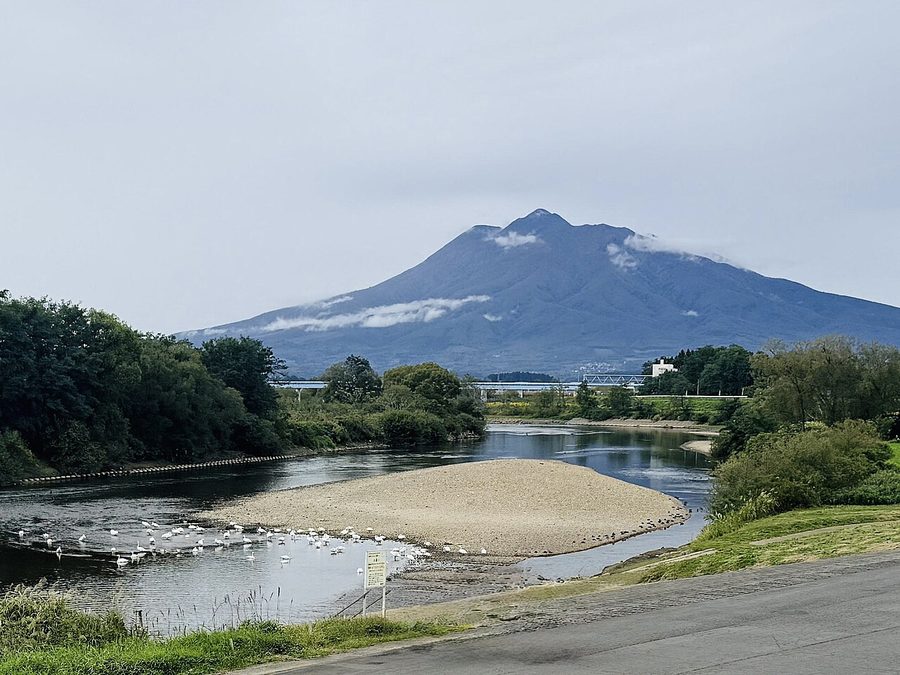 白鳥ふれあい広場と岩木山