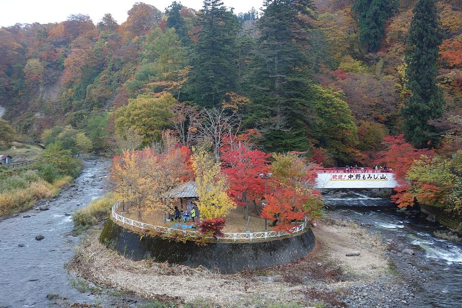 中野もみじ山