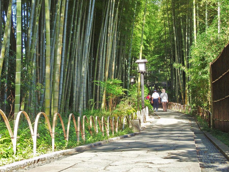 竹林の小径