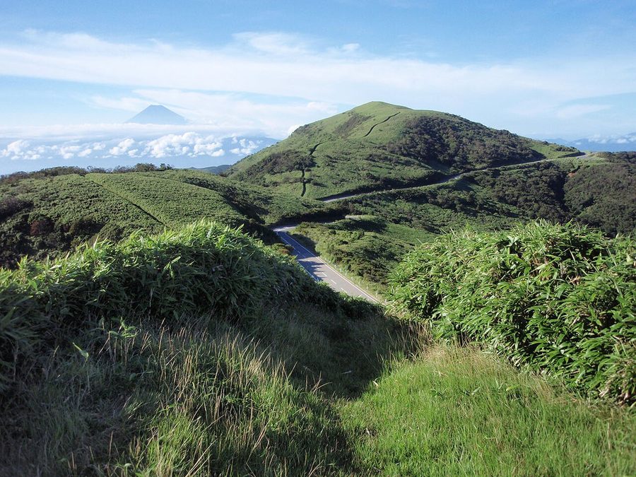 達磨山の山頂付近から南を望む景観