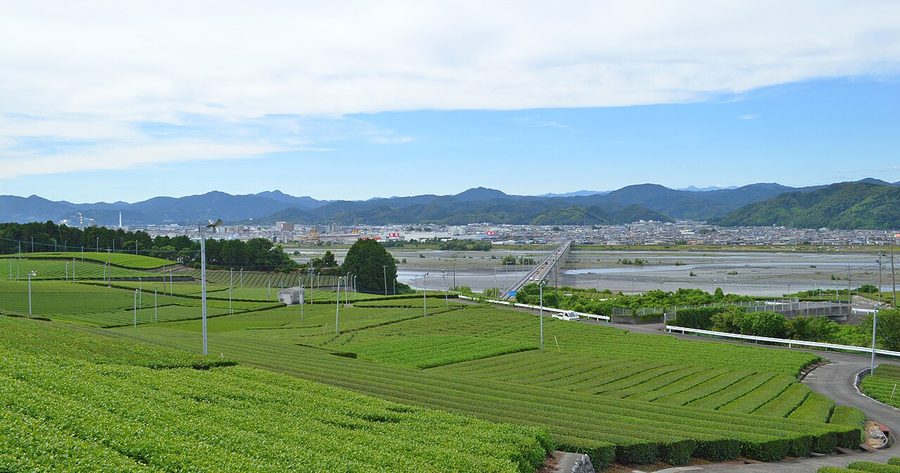 牧之原台地から望む島田市街地