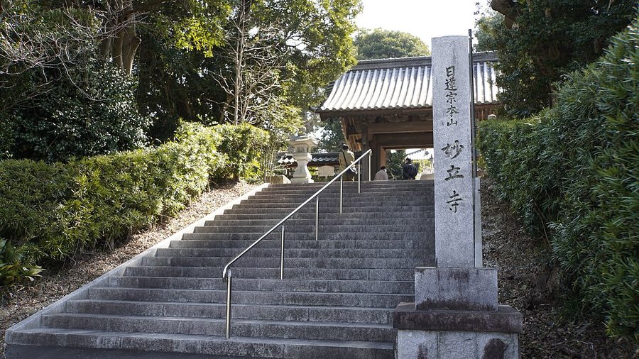 妙立寺の石段と山門