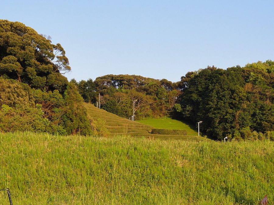 菊川市西横地の茶畑