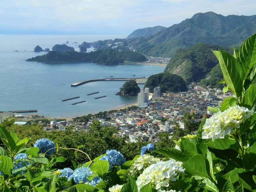牛原山町民の森からの眺め