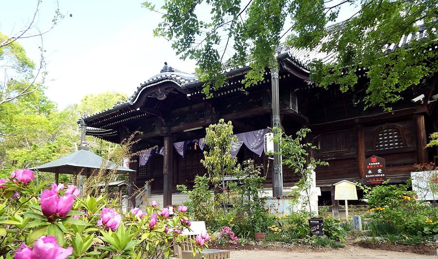 志度寺の本堂
