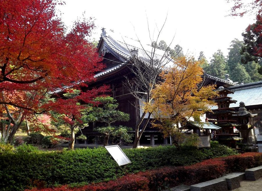 白峯寺の本堂