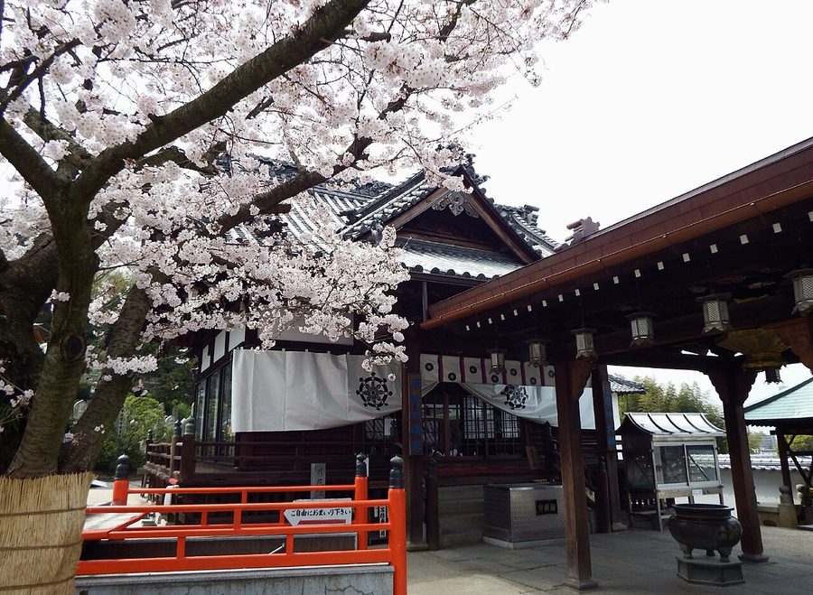 郷照寺の大師堂
