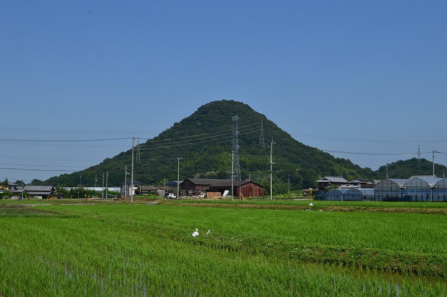 堤山（羽床富士）の全景