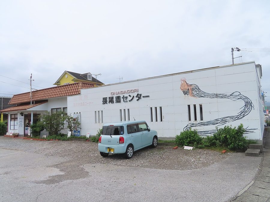 長尾鶏センター