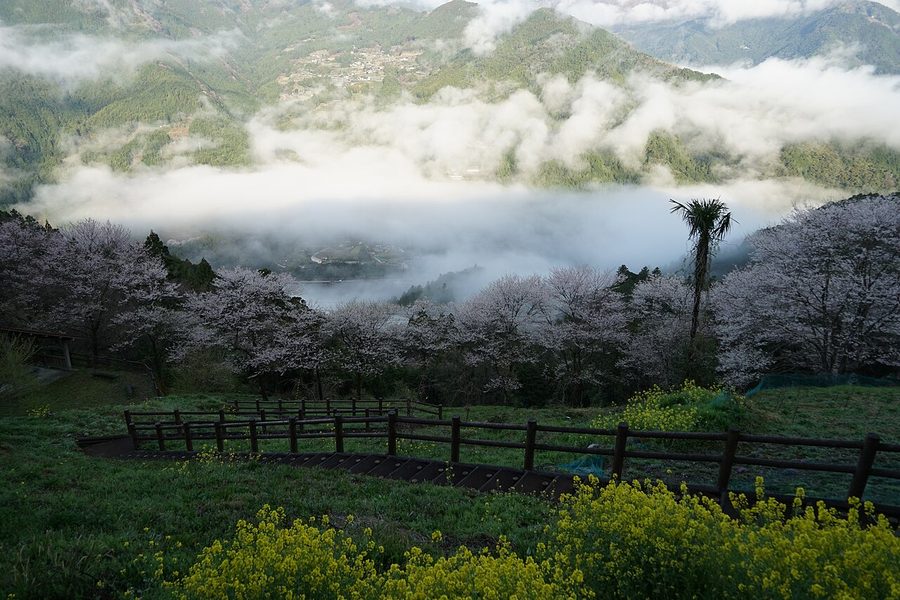 ひょうたん桜公園からの眺め