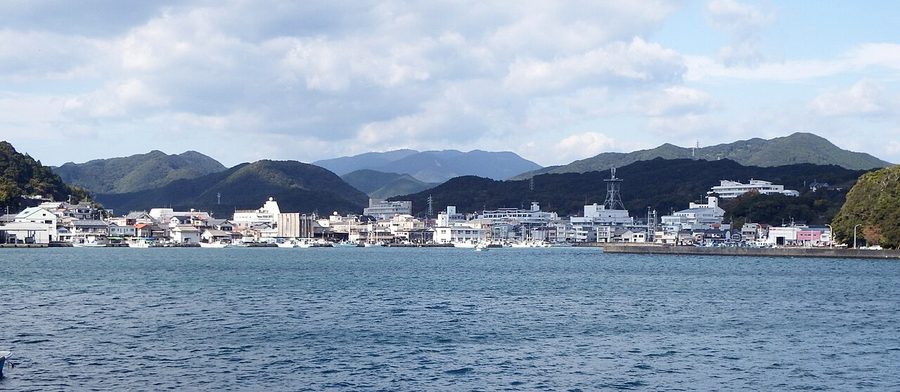 土佐清水市街地と漁港