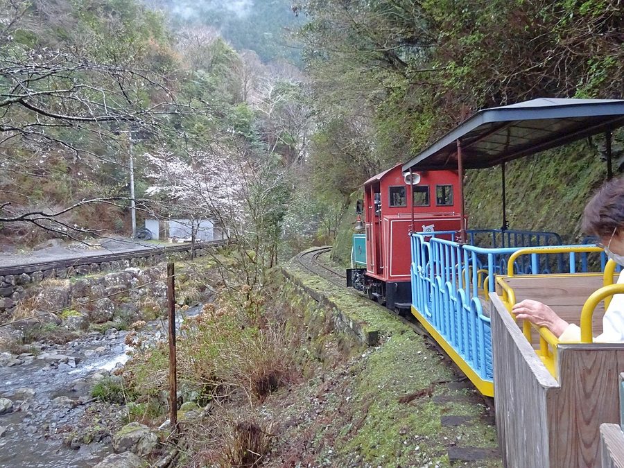 馬路森林鉄道のトロッコ列車