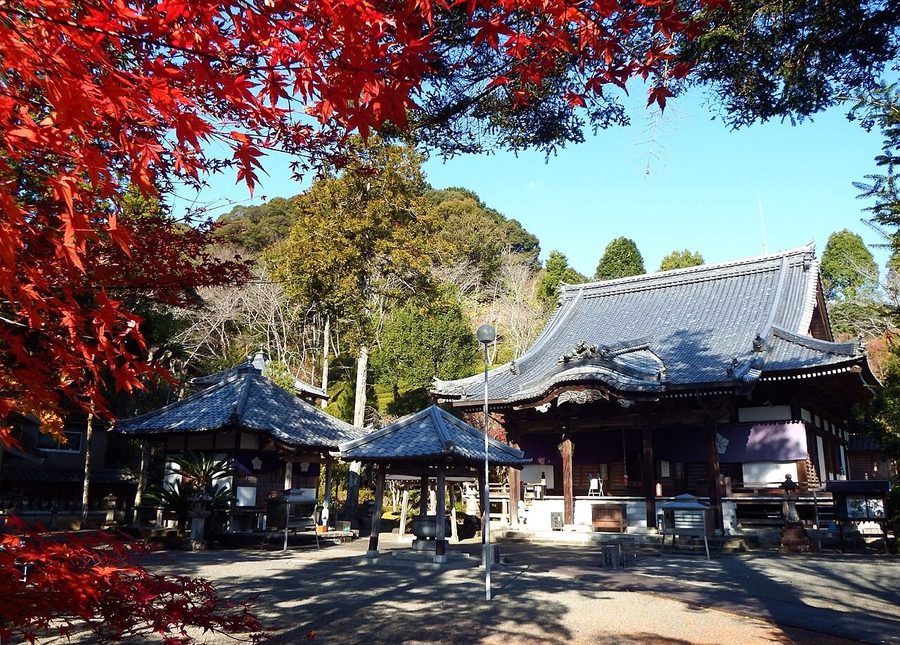 延光寺の境内