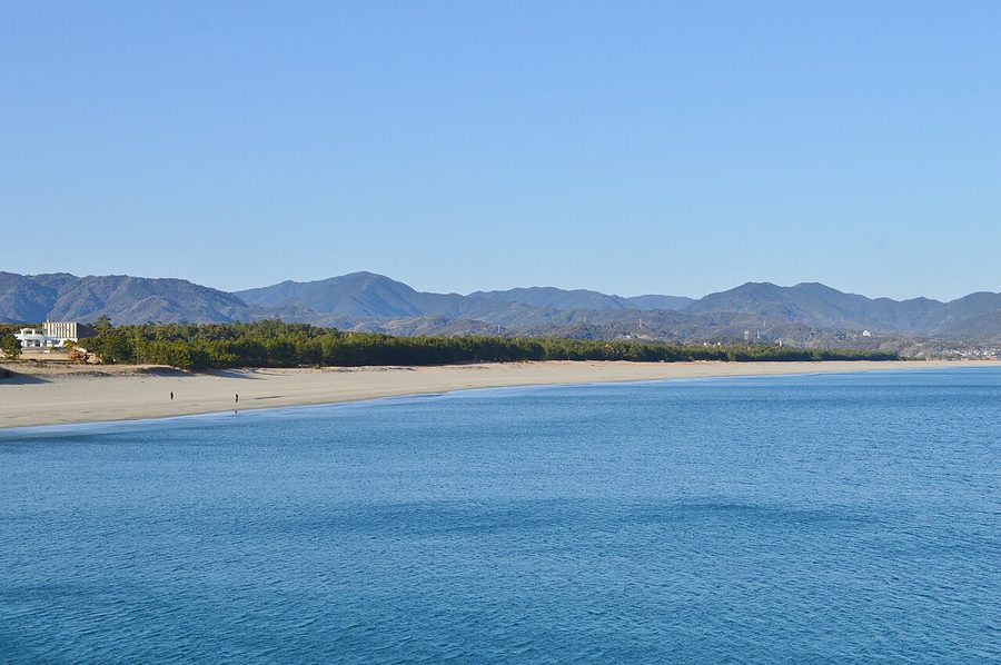 入野松原の遠景