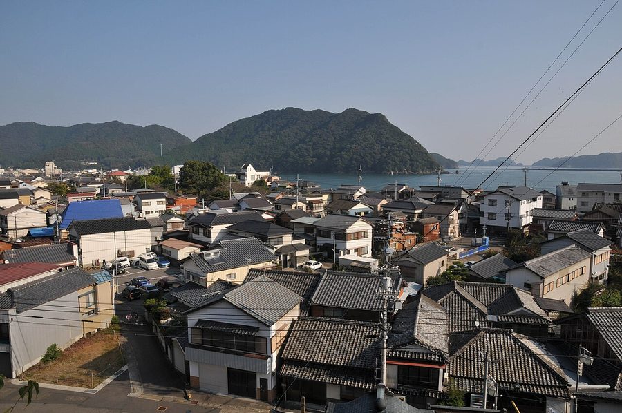 大善寺から見下ろす須崎市街と須崎湾