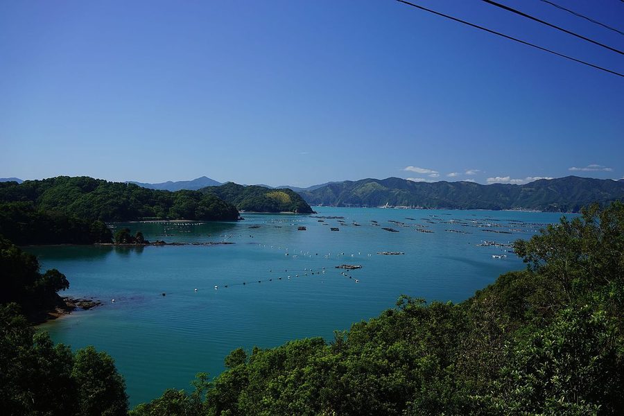 野見湾