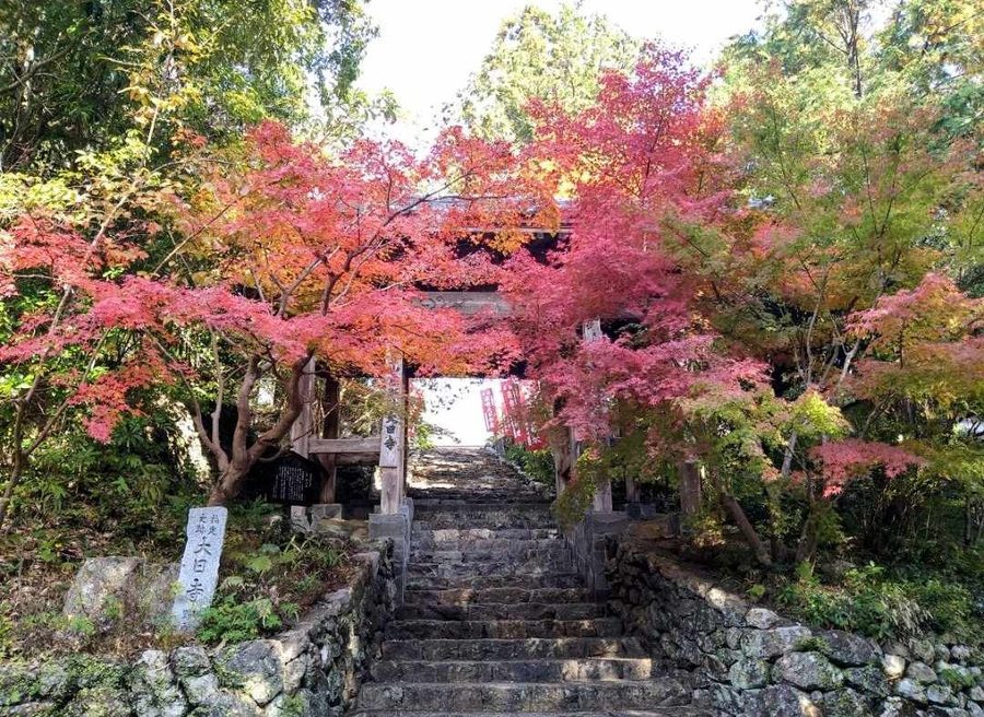 大日寺の山門