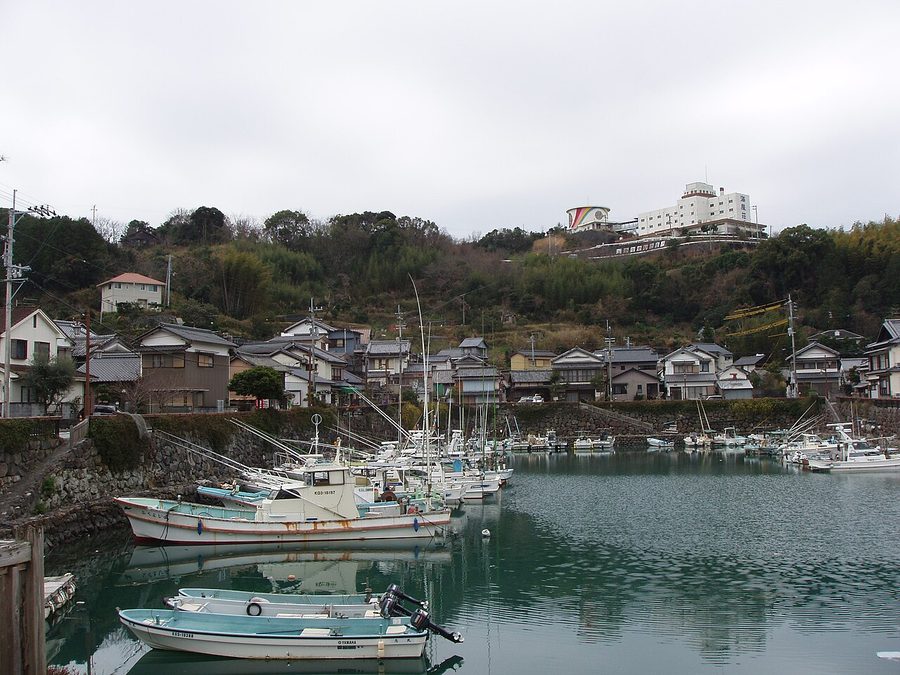 手結港の眺め