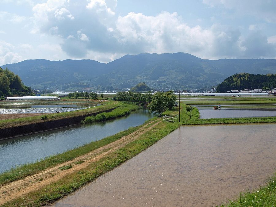 虚空蔵山と、仁淀川水系柳瀬川の支流・伏尾川沿いに広がる田園風景