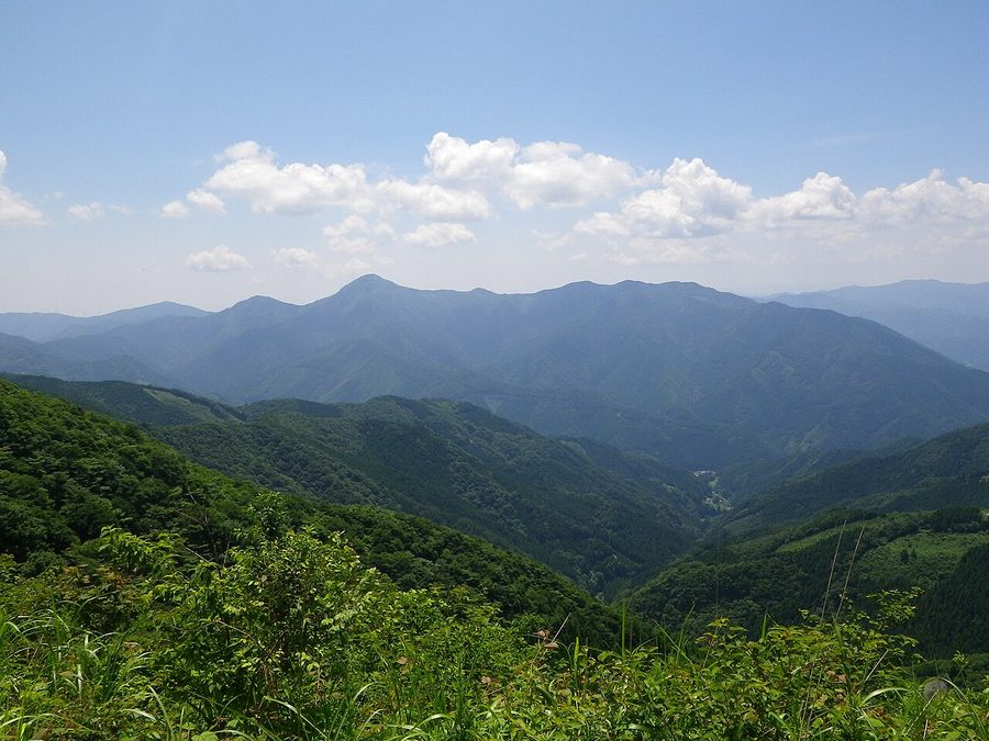 不入山