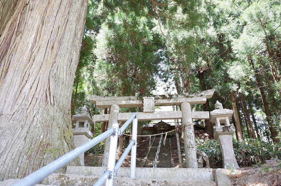 熊野神社の鳥居と参道