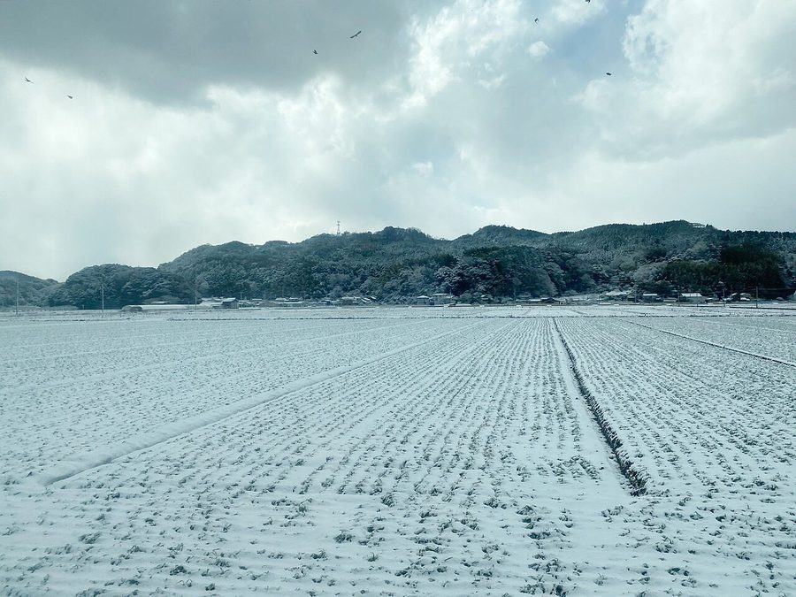 雪に覆われた田畑と山並み