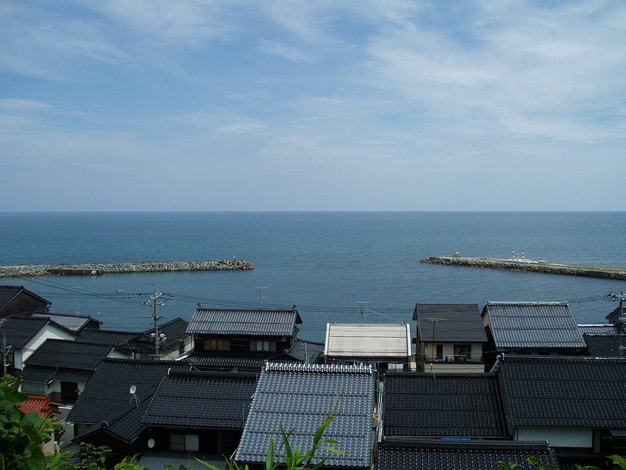 南から望む菊港