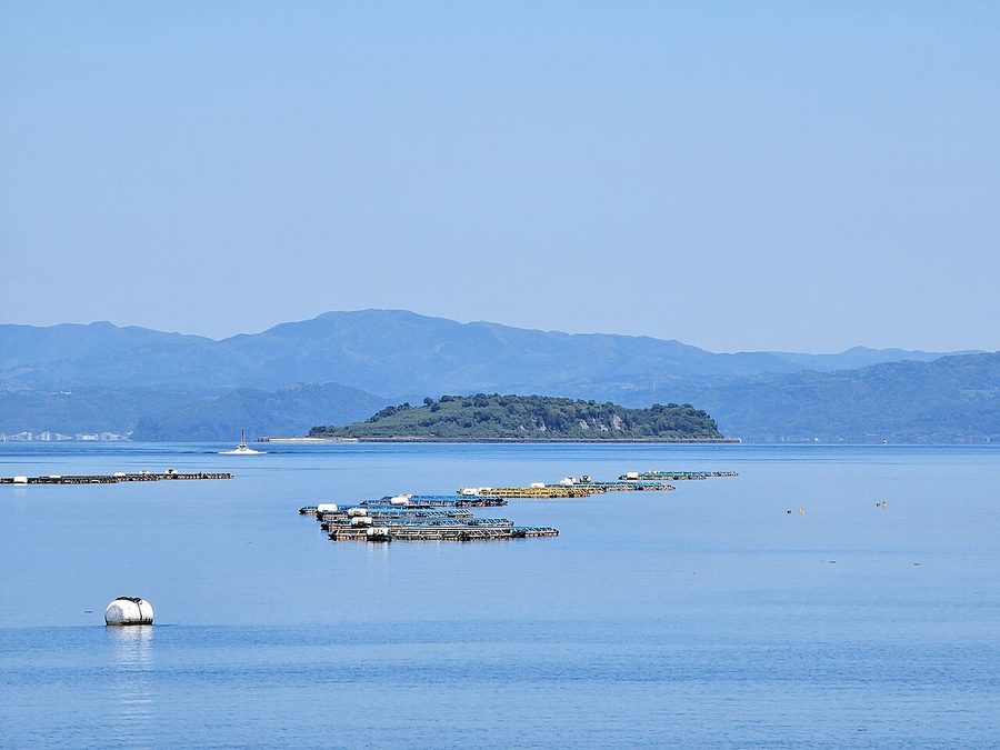 道の駅たるみずから望む新島