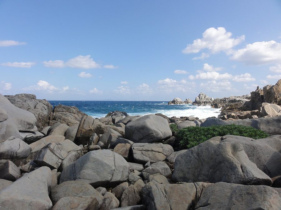ムシロ瀬